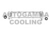 AUTOGAMMA 102413 Intercooler, charger